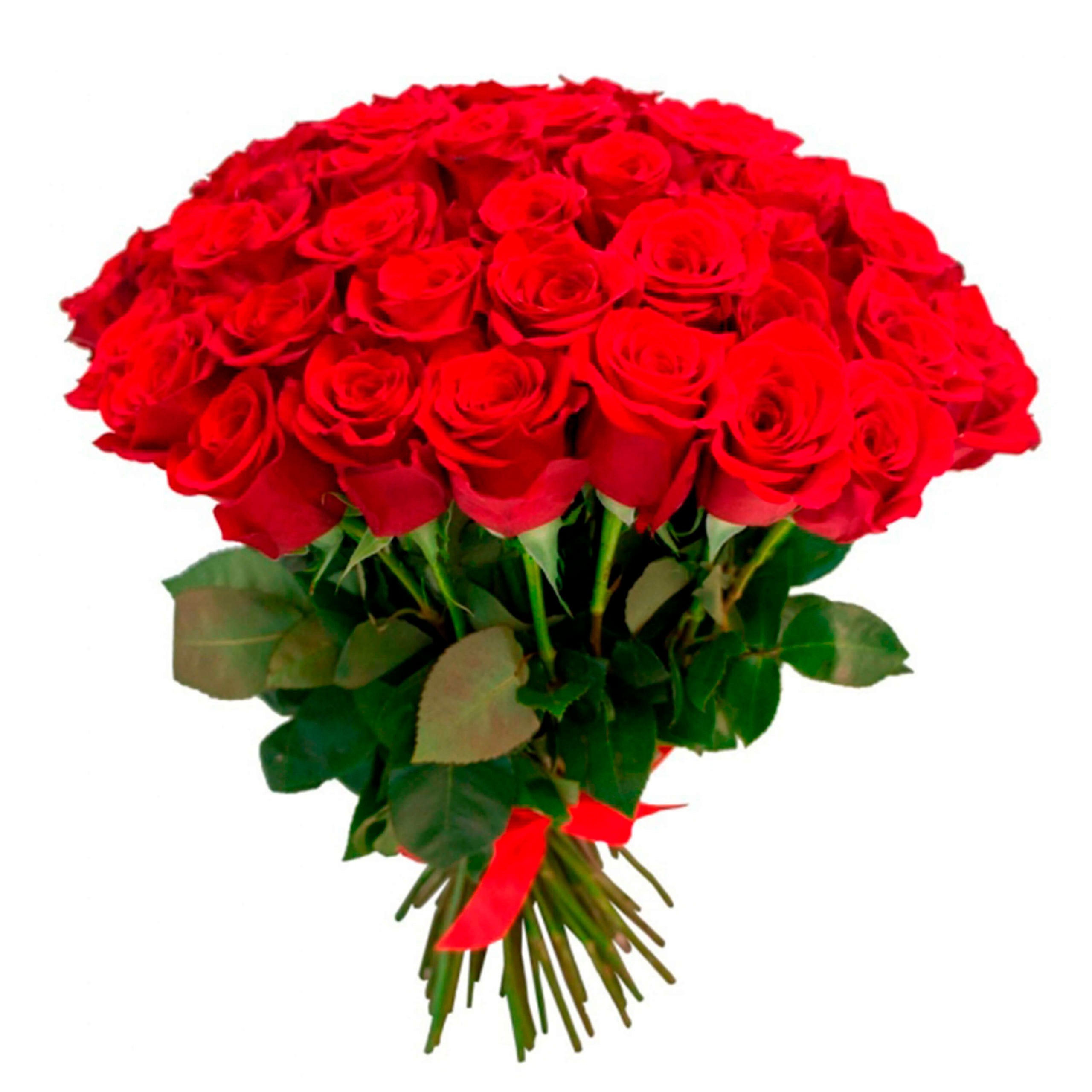 Роза Фридом – купить в Мурманске от 250 руб. | Закажите не дорого с  доставкой – Цветочная сеть Лаванда